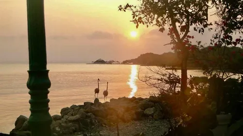 Isla Palma - Colombia