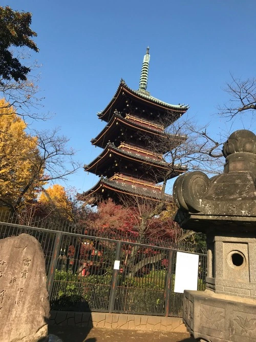 Five Storied Pagoda - Japan
