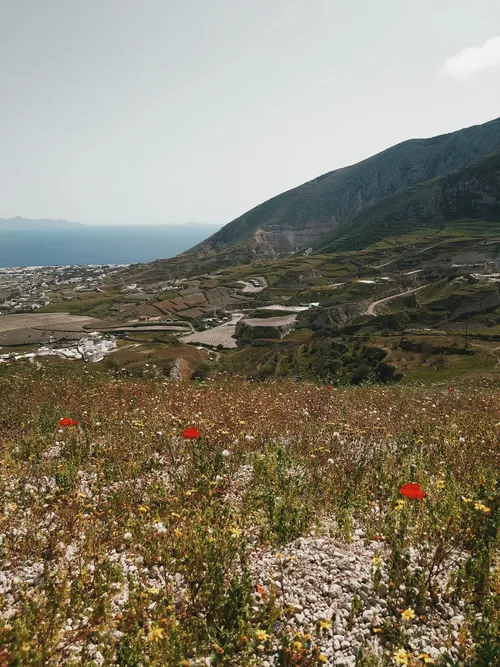 Fields near Pyrgos - Greece