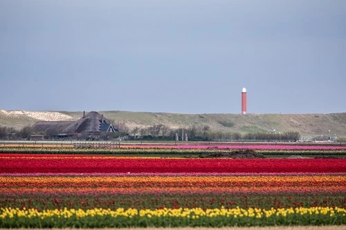 Noord Holland - Desde Street, Netherlands