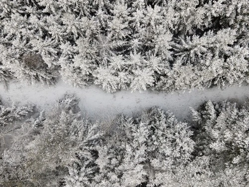 Empty path in the woods - Desde Aerial - Drone, Germany