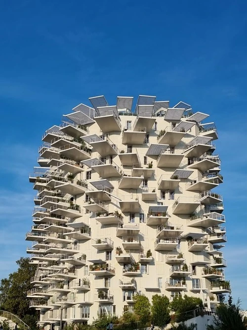 L'arbre Blanc - France