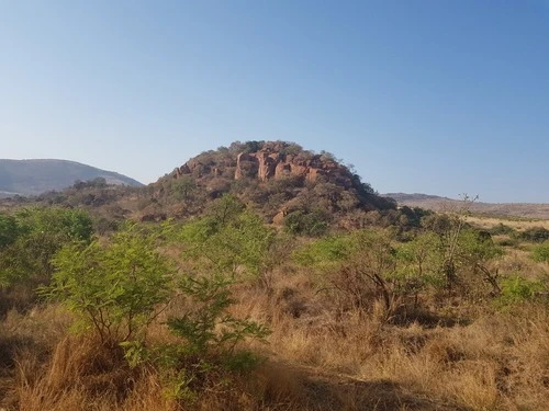 Pilanesberg landscape - จาก Jeep on path - Approximate Area, South Africa