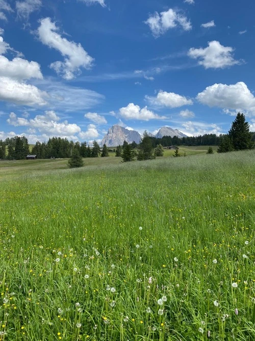 Alpe Di Suisi - Desde Skigebiet Seiser Alm / Südtirol, Italy
