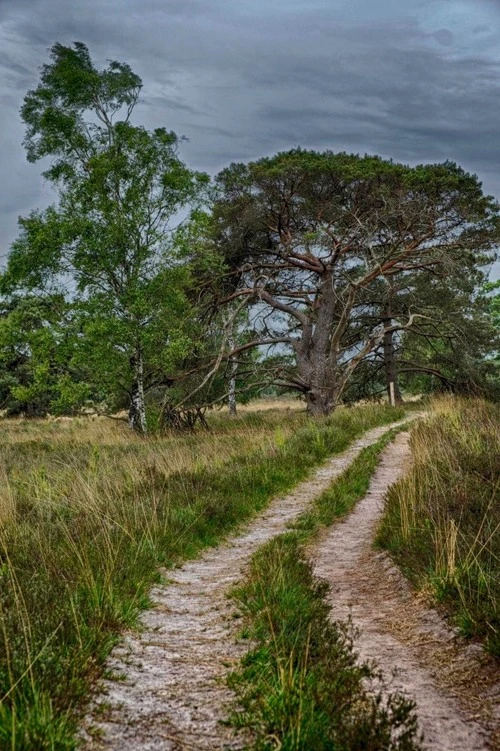 Patersmoer - Desde Bergweg, Netherlands