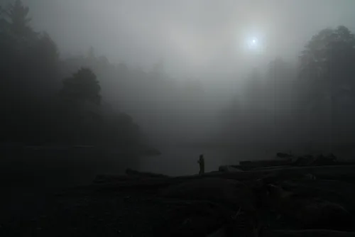 Cedar Creek - Desde Ruby Beach, United States
