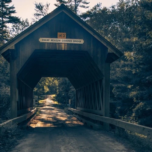 Swamp Meadow Covered Bridge - Aus Central Pike, United States