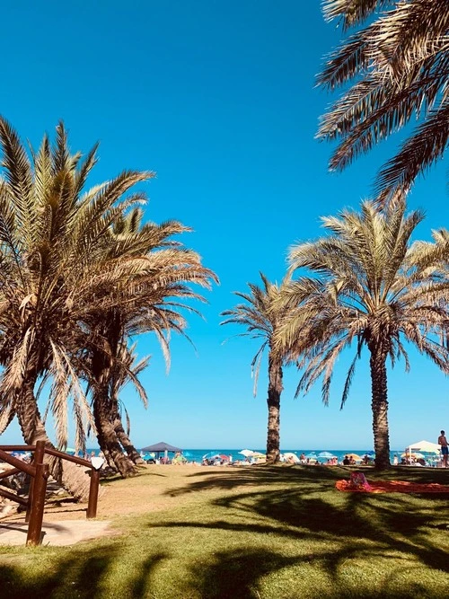 Playa de los Álamos - Spain