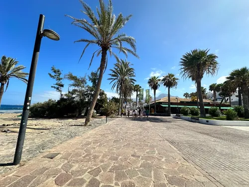 Playa de las Américas - Spain