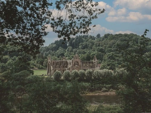 Tintern Abbey - Abaty Tyndryn - From Lippets Grove Nature Reserve, United Kingdom