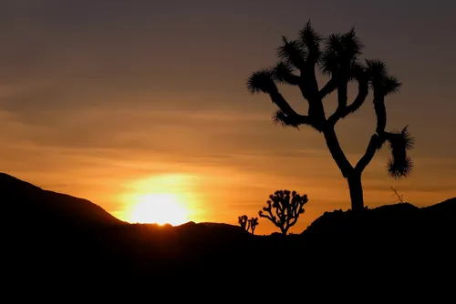 Queen Valley - United States