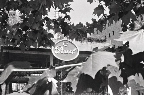 Historic Pearl Brewery - From Green Space, United States