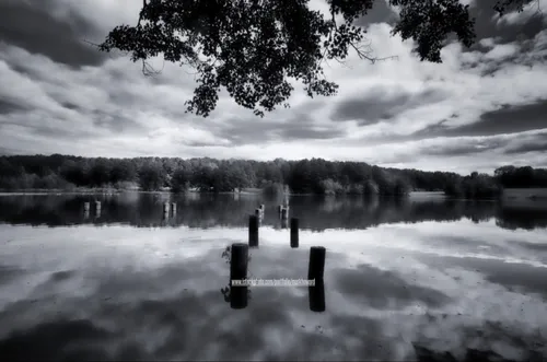 Shelley Lake - United States