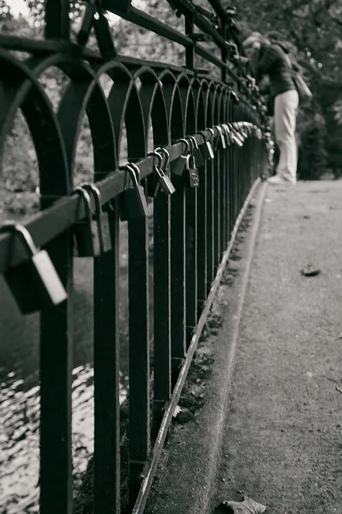 Brücke Rombergpark - Germany