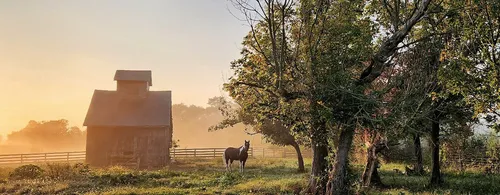 Paddock - From Old Oxford Road, United States