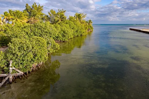 Boca del Rio Bridge - Belize