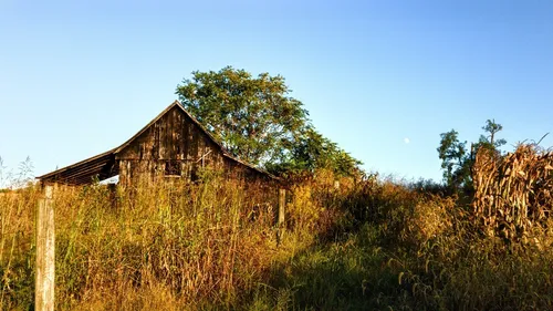 Georgetown Farms - United States