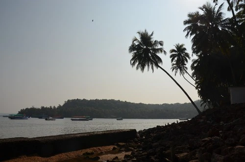 Coco beach - India