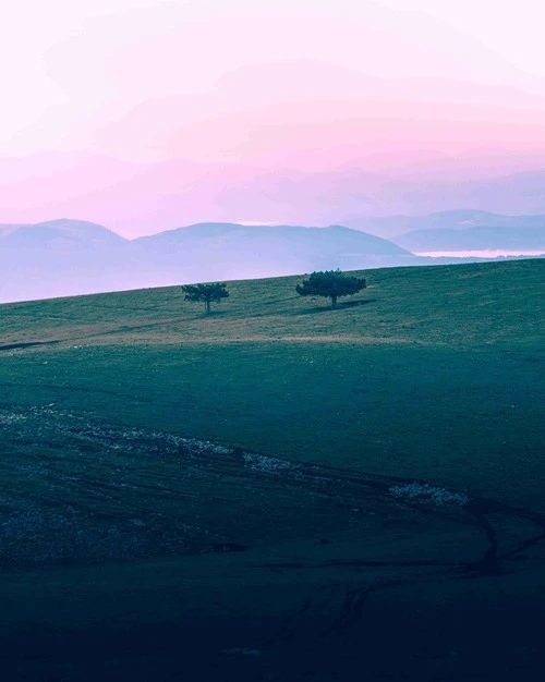 Einsame Bäume auf dem Monte Subasio - Z Hügel westlich der Bäume, Italy