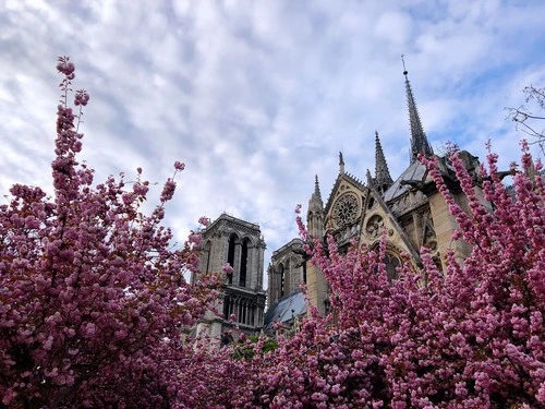 Cathédrale Notre-Dame - From North, France