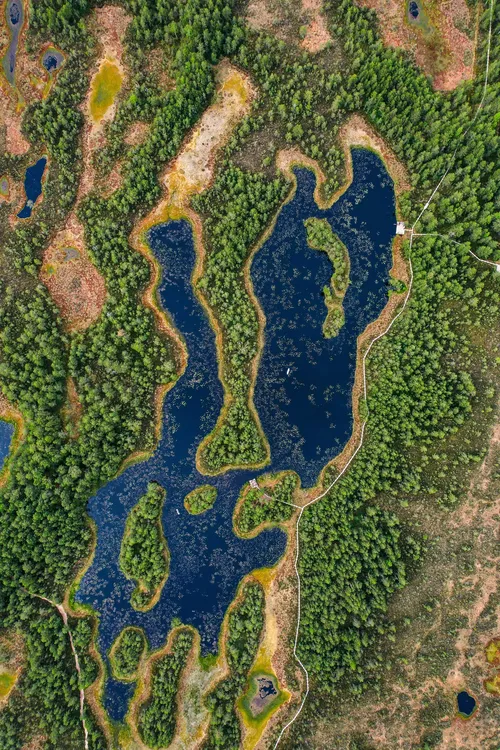 Mukri Bog - Desde Drone, Estonia