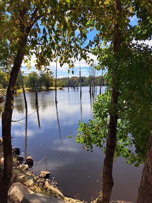 Jaskson Island lake - Depuis Lake on south side of road, United States