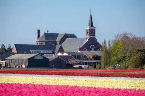 Spierdijk / Netherlands - Frá Braken, Netherlands