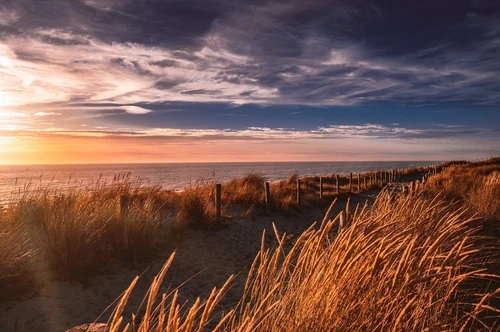 Weitläufiger Strand von Egmond aan Zee - Desde Dünenweg am Rande von Egmond aan Zee, Netherlands