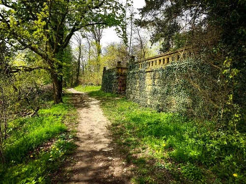Waldfriedhof LP - Desde Waldgrabstätten Halle, Germany