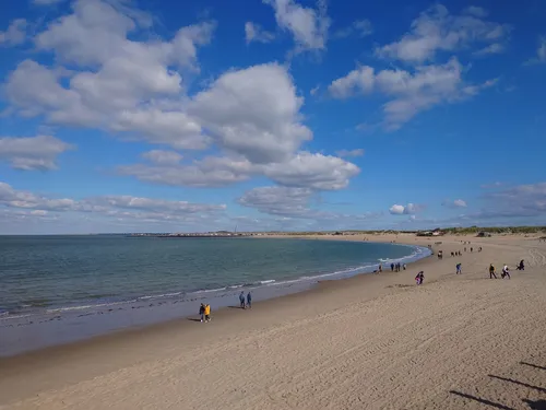 Brouwers Noordzeestrand - Netherlands