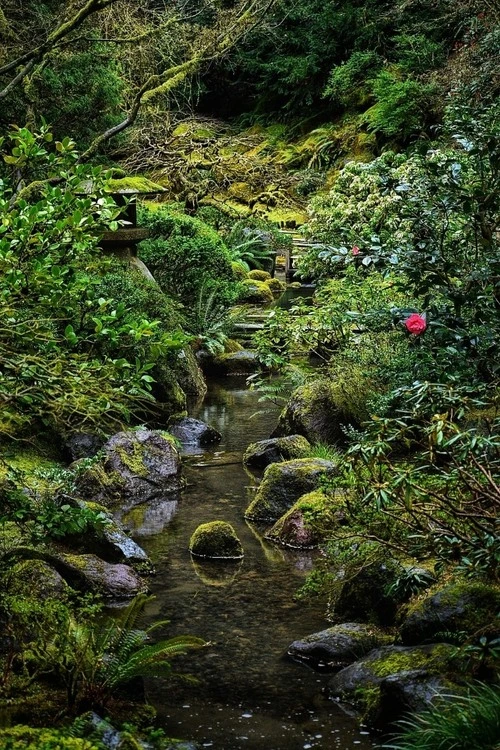 Creek - Frá Portland Japanese Garden, United States