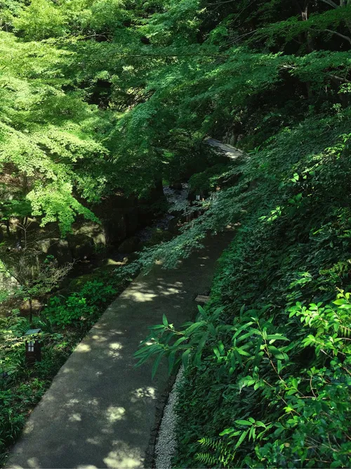 Tokugawaen Park - Japan