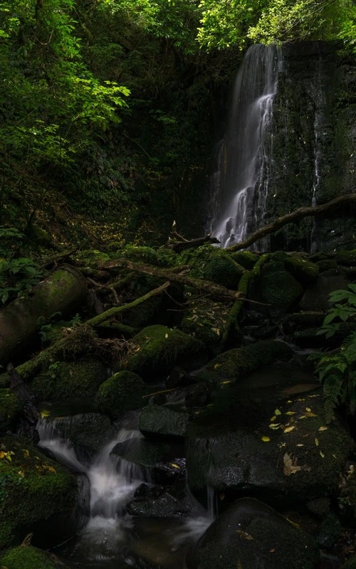 Matai Falls - New Zealand