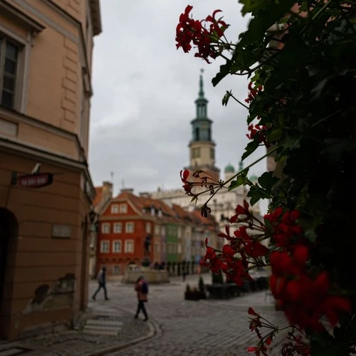 Museum of the History of Poznań - Depuis Świętosławska, Poland