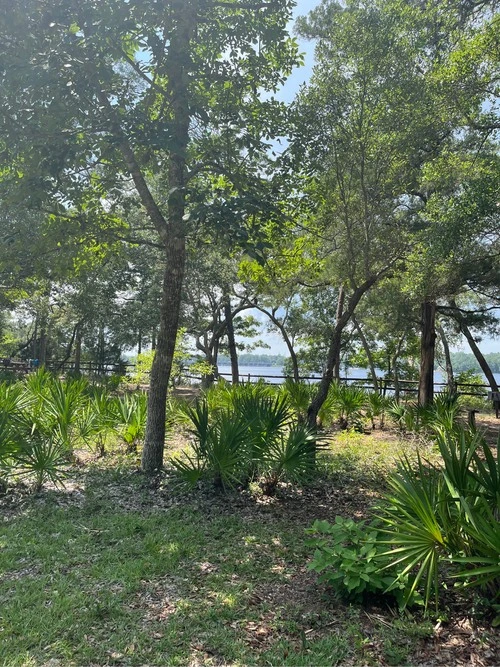 Fred Gannon Rocky Bayou State Park - Aus Hiking trail, United States