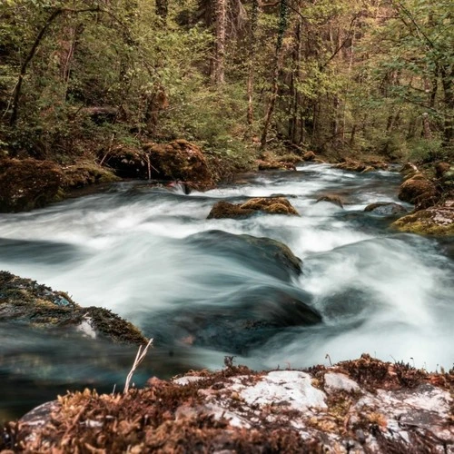Rivière de l'Allondon - Aus Sources de l'Allondon, France