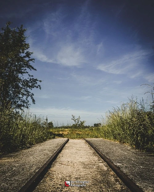 Barbara Wesselingh - Netherlands