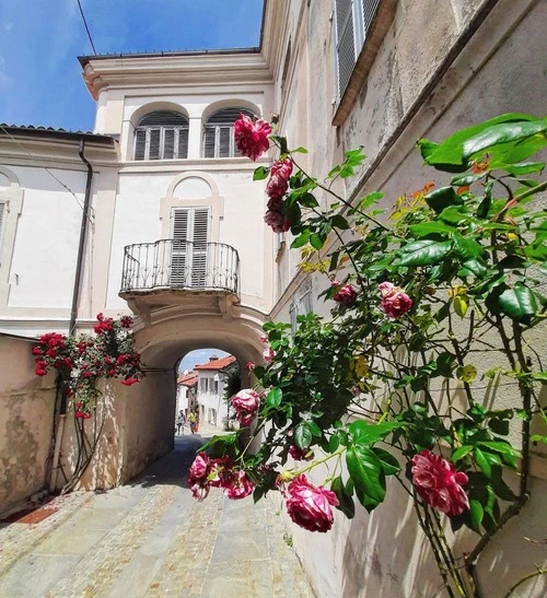 Bossolasco - Desde Via Umberto Primo, Italy
