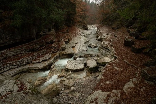 Flusslauf Taugl - از جانب Anhöhe Tauglgries, Austria