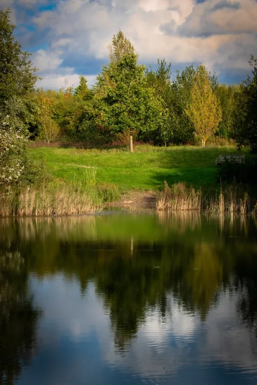 The Hoppit Wood and Lake - United Kingdom