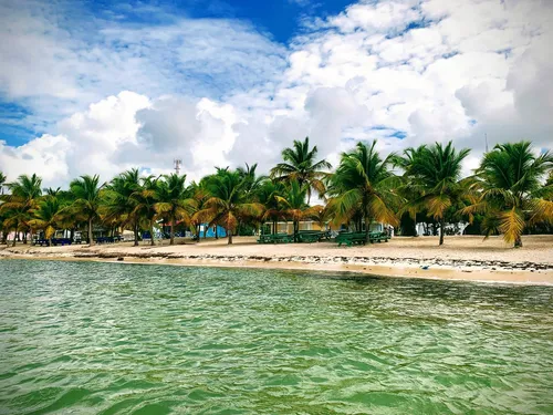 Playa Isla Saona - Dominican Republic