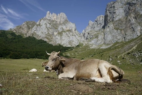 Nacimiento Rio Deva - From Camping, Spain