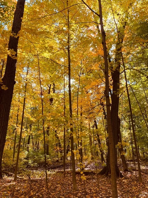 Sanders Park - United States
