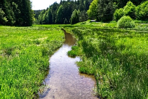 Rund um den Dreiburgensee - Germany