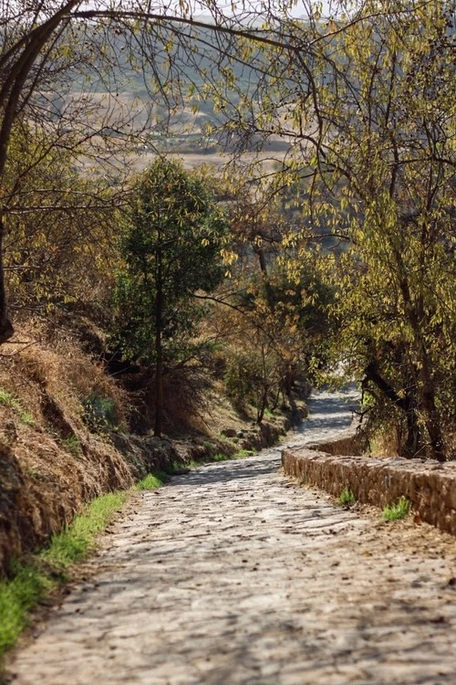 Camino rural - Van Camino, Spain
